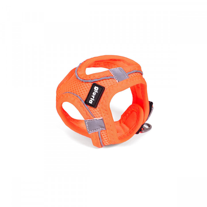 Arnés para Perro Gloria Trek Star 24-26 cm 28-28,6 cm Naranja XXS