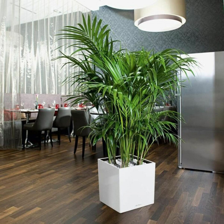 Vaso Autoirrigante Lechuza Bianco 40 x 40 cm polipropilene Plastica