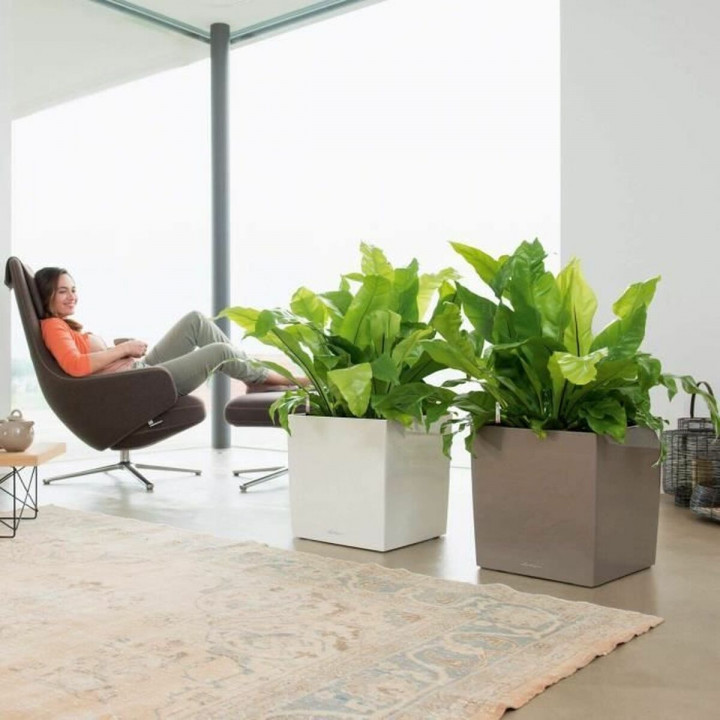 Zelfwaterende bloempot Lechuza Wit 40 x 40 cm Polypropyleen Plastic