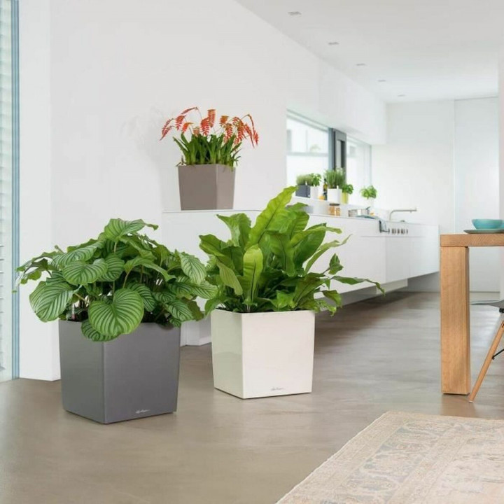 Vaso Autoirrigante Lechuza Bianco 40 x 40 cm polipropilene Plastica