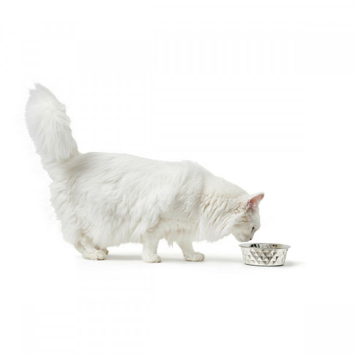 Ciotola per cani Hunter Silicone Acciaio inossidabile 4,1 L