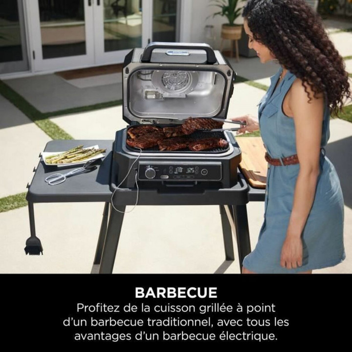 Barbecue Draagbare NINJA OG850EU