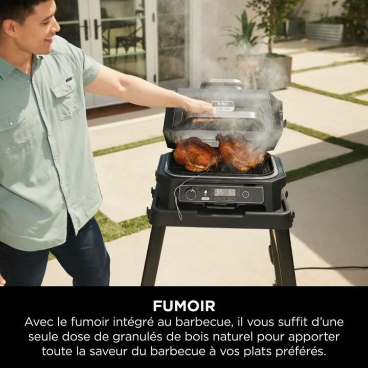 Barbecue Draagbare NINJA OG850EU