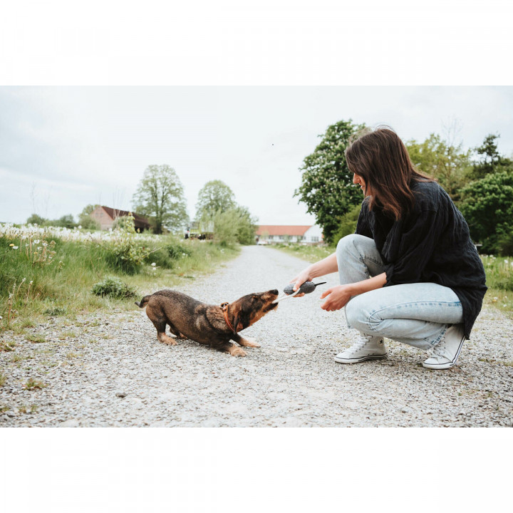Giocattoli per cani Hunter NEBRASKA Azzurro Poliestere Pecora