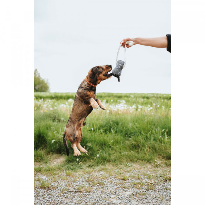 Giocattoli per cani Hunter NEBRASKA Azzurro Poliestere Pecora