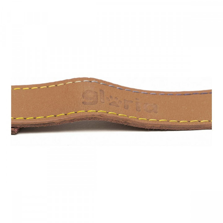 Laisse pour Chien Gloria Oasis 2.1 x 100 cm Marron