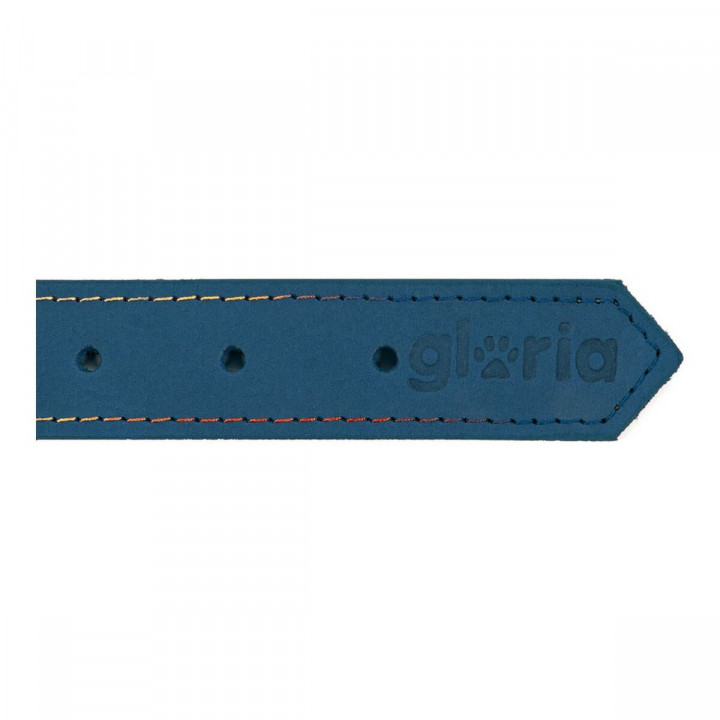 Collar para Perro Gloria Oasis Azul (1,2 x 35 cm)