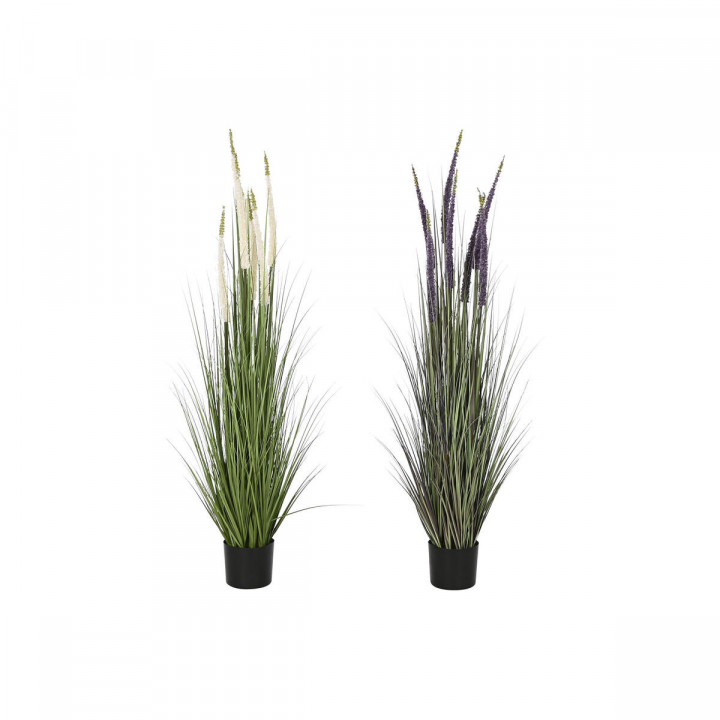 Decorative Plant Home ESPRIT Plastic