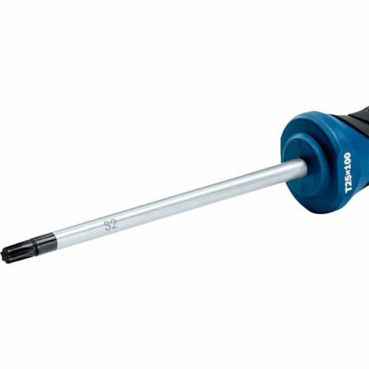 Tournevis BOSCH TX25 Torx Bleu