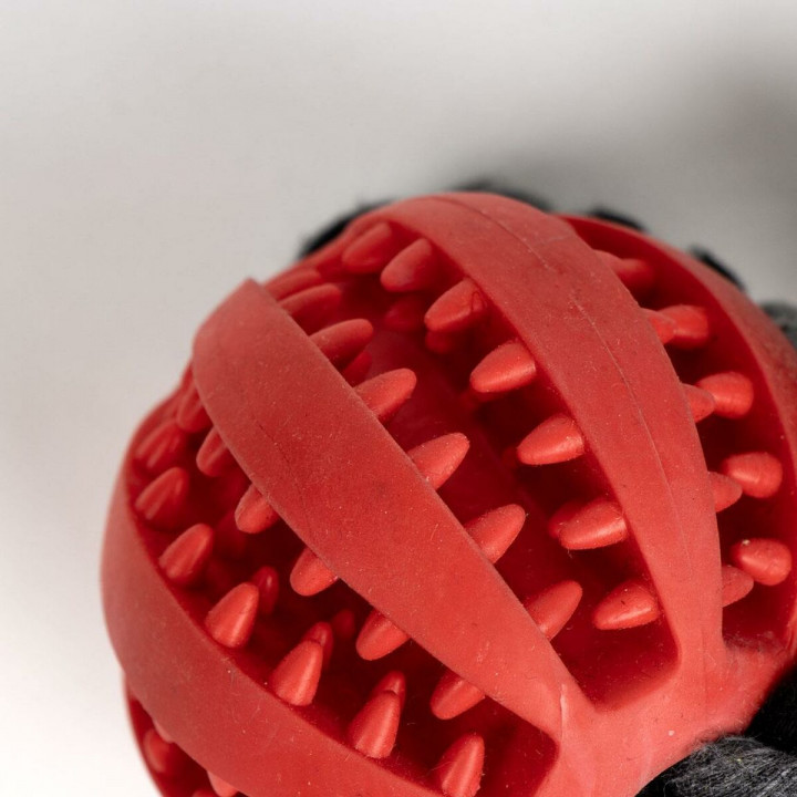 Dog toy Minnie Mouse Red Polyester Cotton TPR 10 x 30 x 7 cm 7 x 30 x 10 cm