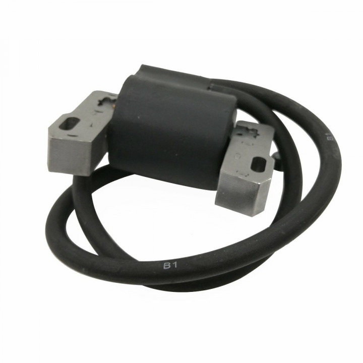 Chiodatrice Elettrica Rapid Legno Professionale