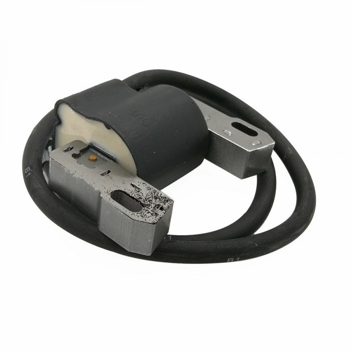 Chiodatrice Elettrica Rapid Legno Professionale