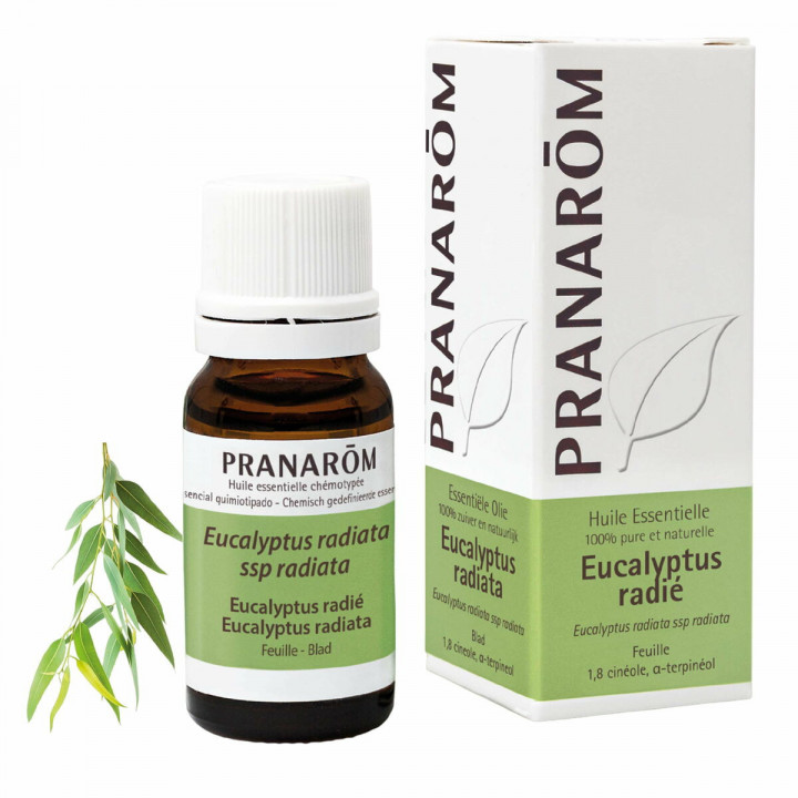 Olio Essenziale Pranarôm   10 ml Eucalipto