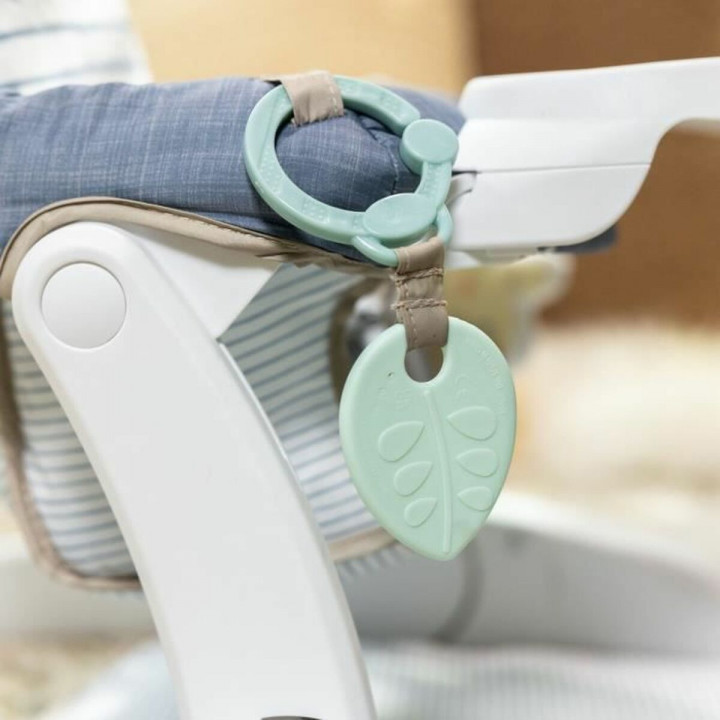 Centro di attività Ingenuity Casi the Zebra