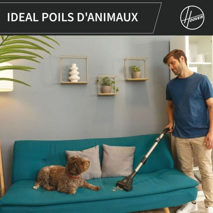 Staubsauger Hoover HP321PAF Grau 850 W