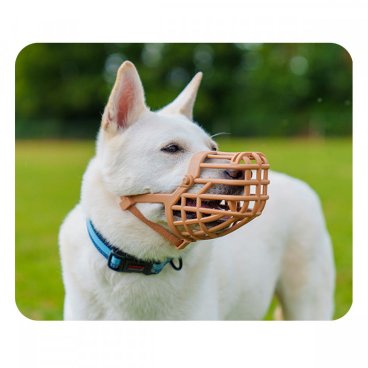 Muzzle Company of Animals Brown 8