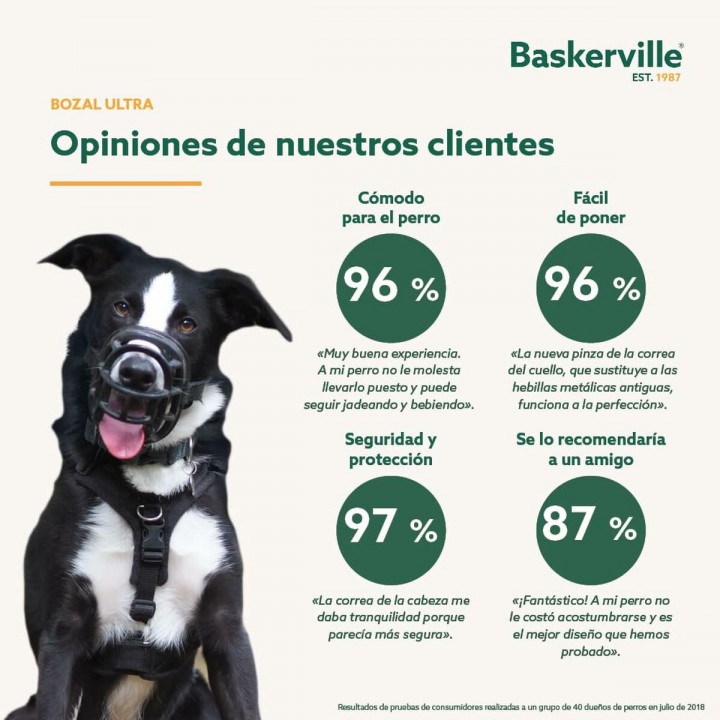 Maulkorb Company of Animals Schwarz 4