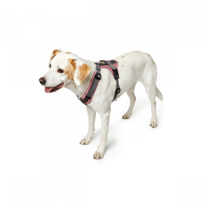 Imbracatura per Cani Hunter Rosa 31-49 cm