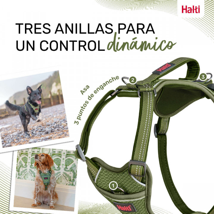 Hondentuigje Company of Animals Groen S 28-42 cm
