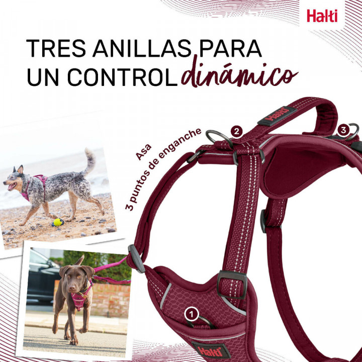 Imbracatura per Cani Company of Animals Bordeaux XL 50-78 cm