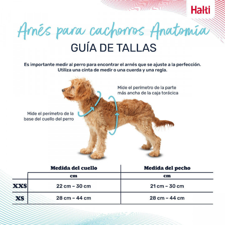 Imbracatura per Cani Company of Animals Grigio XXS 22-30 cm