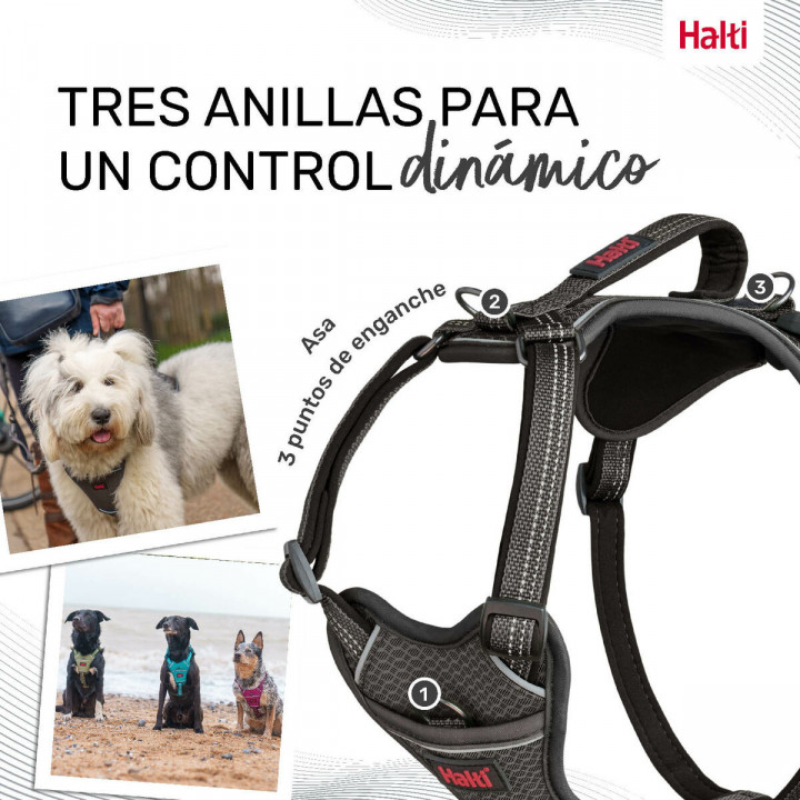 Harnais pour Chien Company of Animals Gris S 28-42 cm