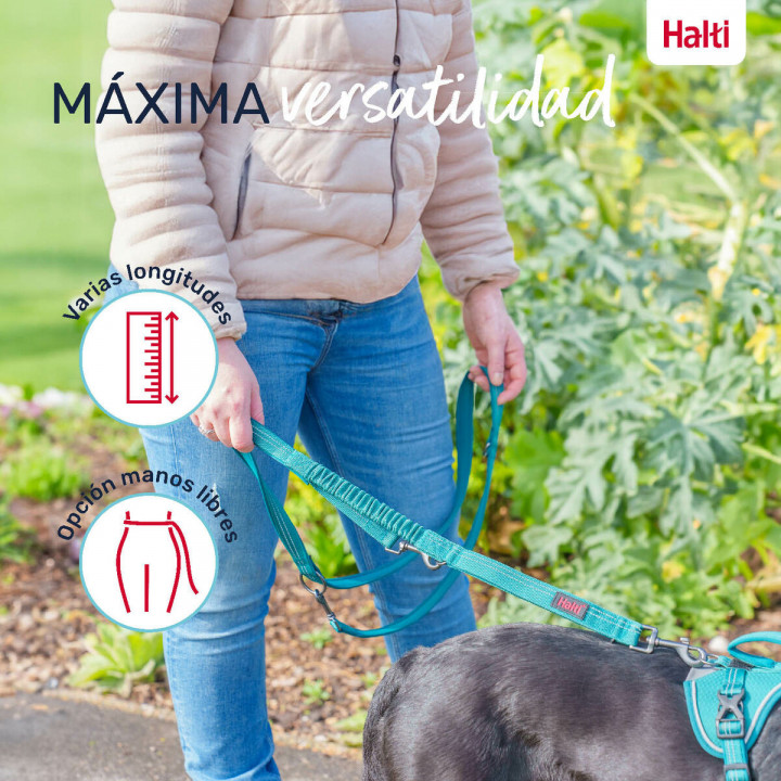 Laisse pour Chien Company of Animals Bordeaux S