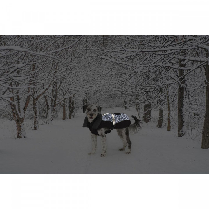 Hondenjas Dog Gone Smart Zwart 50 cm