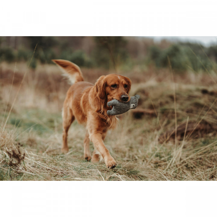 Knuffel voor honden Hunter Grijs 100 % Gerecycled Beer