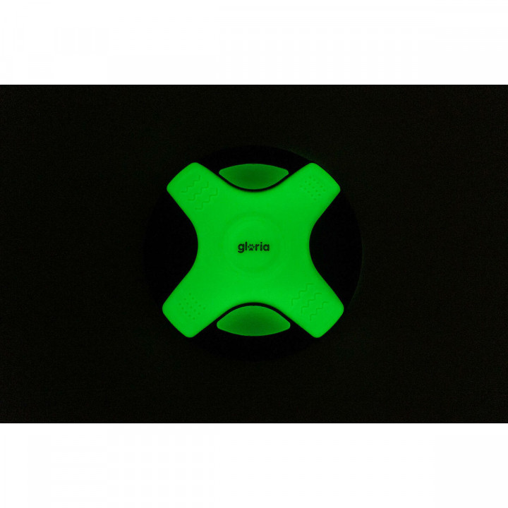 Frisbee Gloria White TPR 25 cm