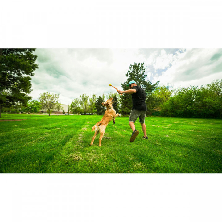 Ball Launcher for Dogs Hunter Yellow Orange Rubber Ball