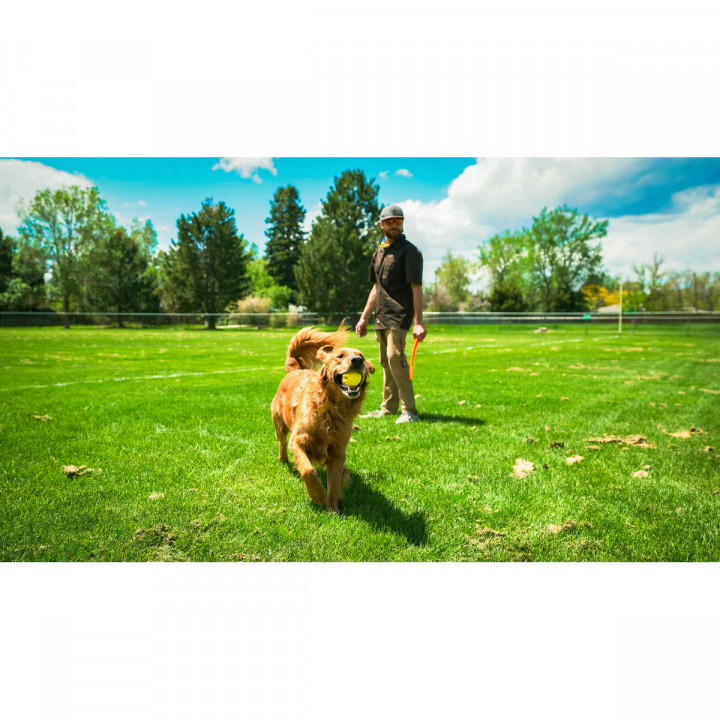 Lanzador de Pelotas para Perros Hunter Amarillo Naranja Goma Bola