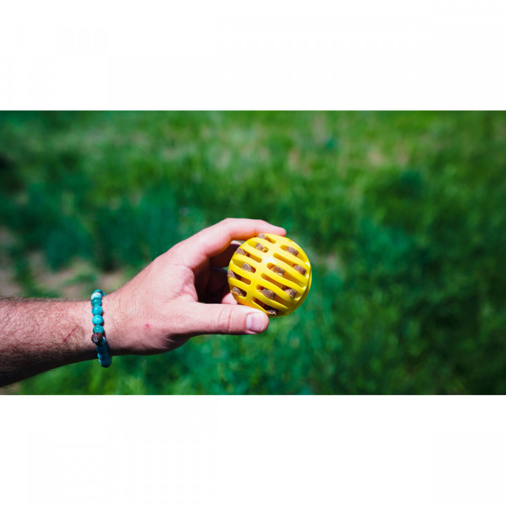 Ball Launcher for Dogs Hunter Yellow Orange Rubber Ball