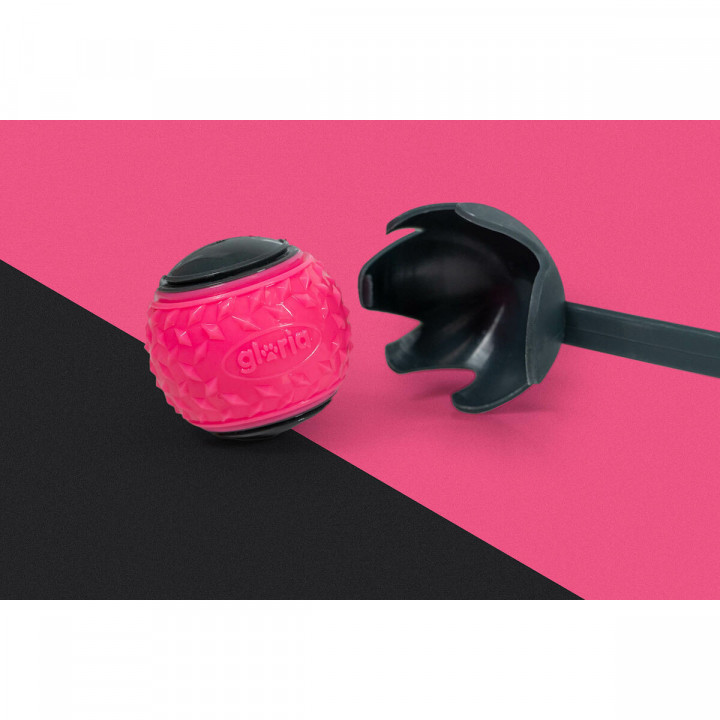 Ballwurfmaschine für Hunde Gloria Grau Polypropylen TPR M