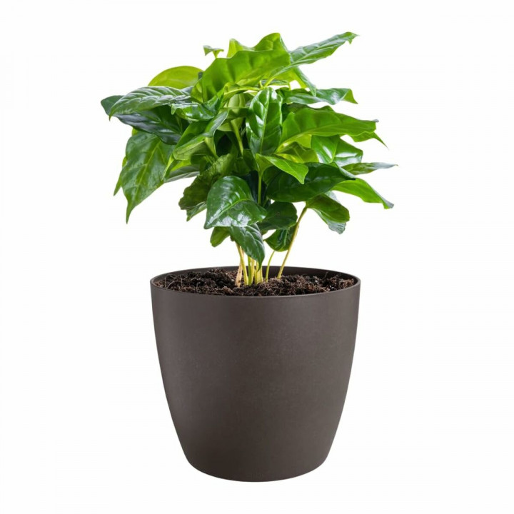 Set de pots Elho Plastique Rond 3 Pièces