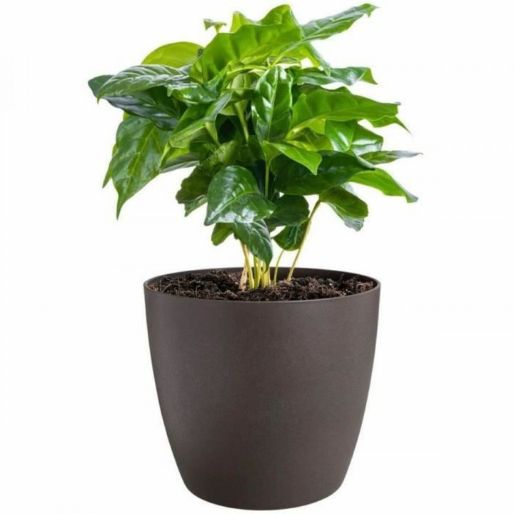 Set de pots Elho Plastique Rond 3 Pièces