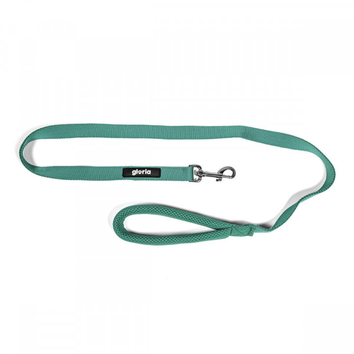 Dog Lead Gloria Turquoise S