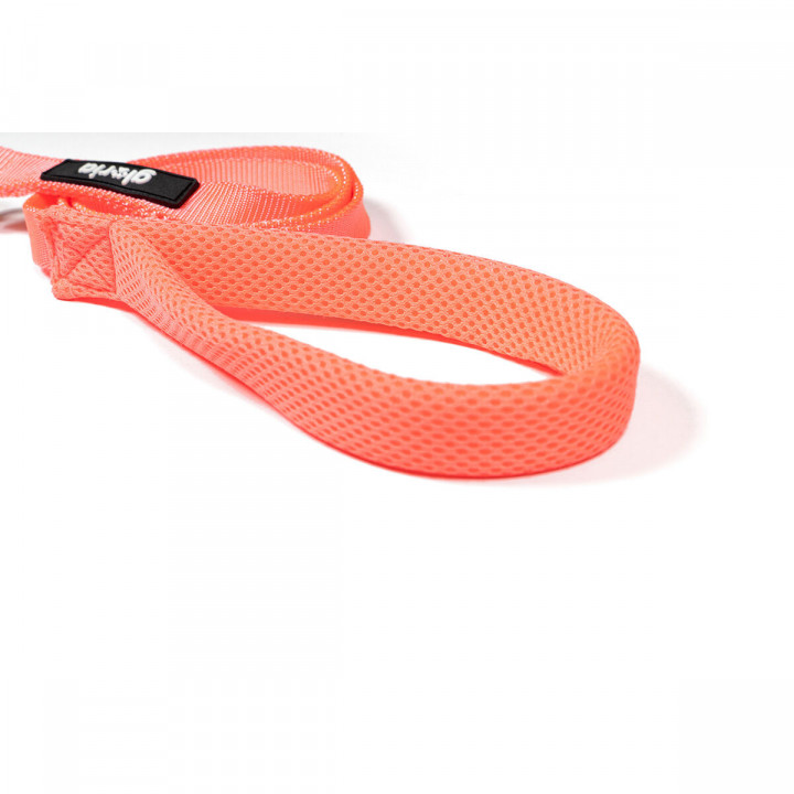 Laisse pour Chien Gloria Rose S