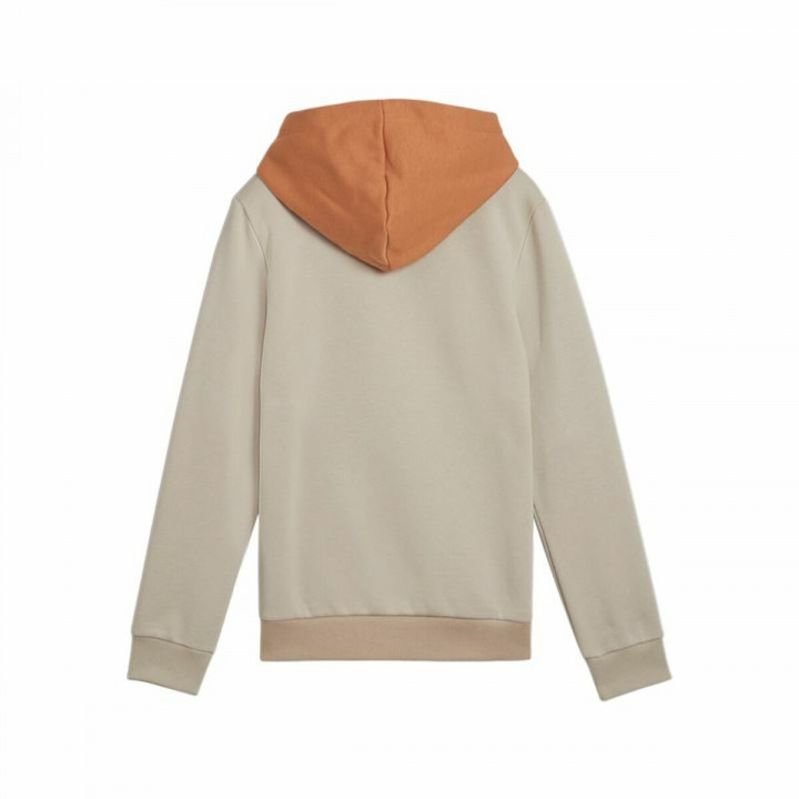 Jungen Sweater mit Kapuze Puma Essentials Block Braun