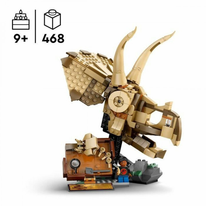 Bouwspel Lego 76969