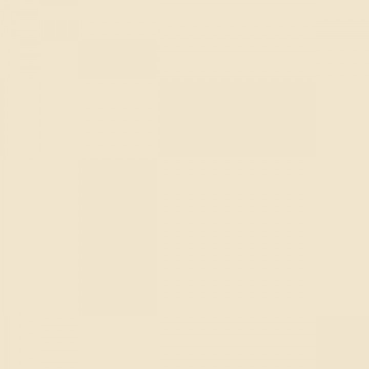 Peinture d'Apprêt Ripolin Mat 10 L