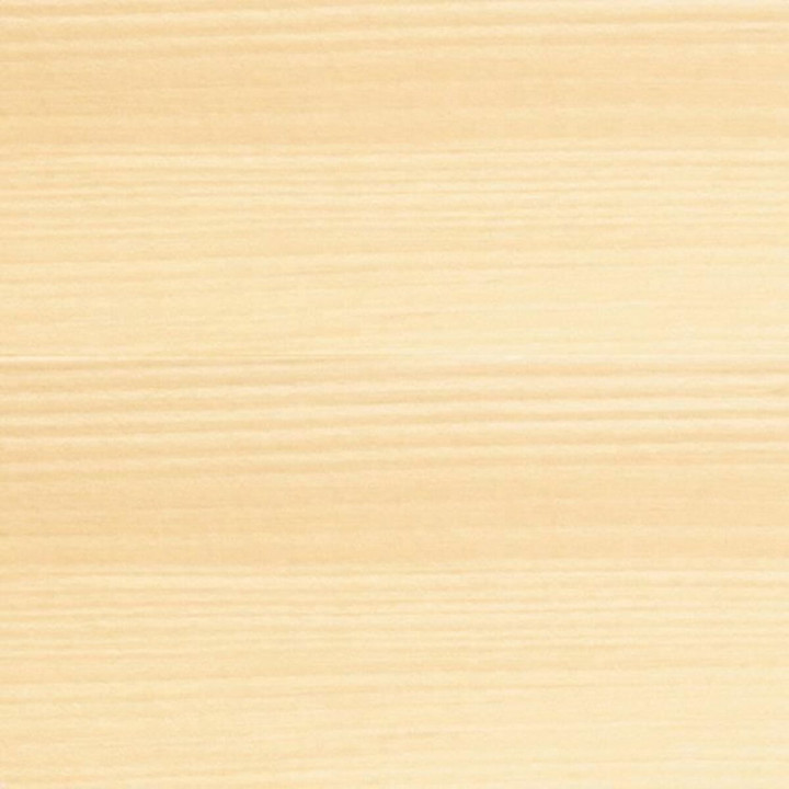 Primer Paint Bondex Satin finish 5 L Transparent