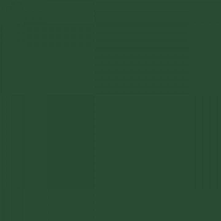 Peinture d'Apprêt Ripolin Vert Satiné 500 ml