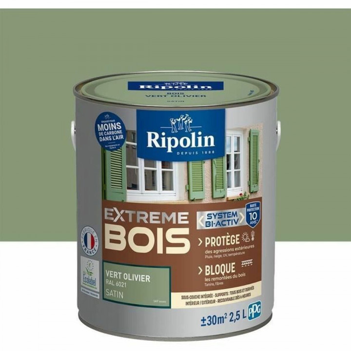 Pintura de Imprimación Ripolin Vert Satinado 2,5 L