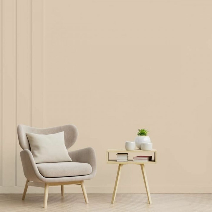 Primer Paint Ripolin Beige Satin finish 2,5 L