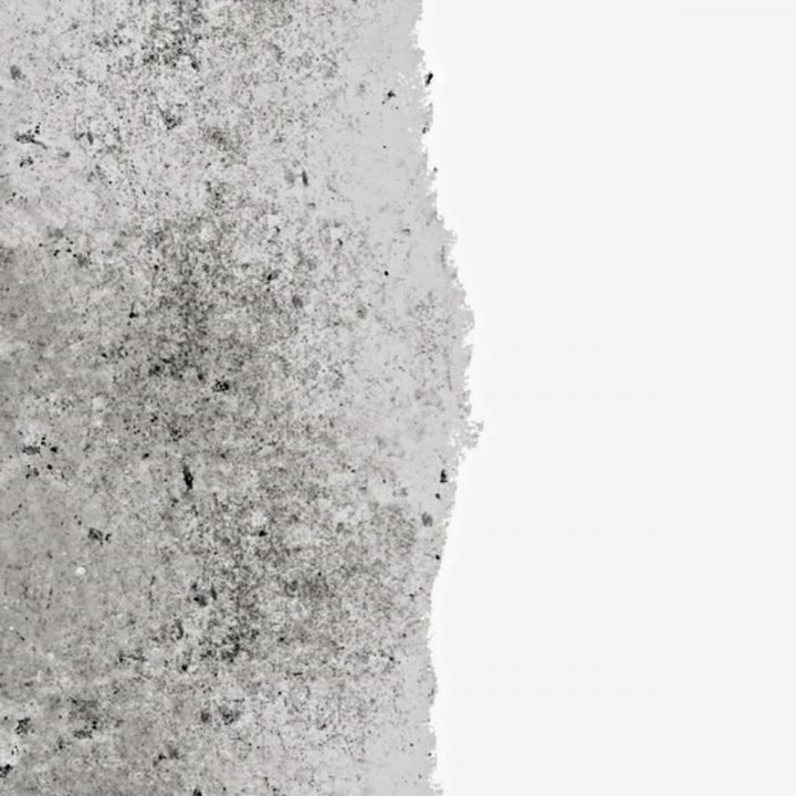 Pintura de Imprimación Ripolin Blanco Mate 2,5 L