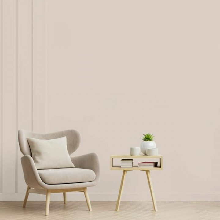 Primer Paint Ripolin Beige Satin finish 2,5 L