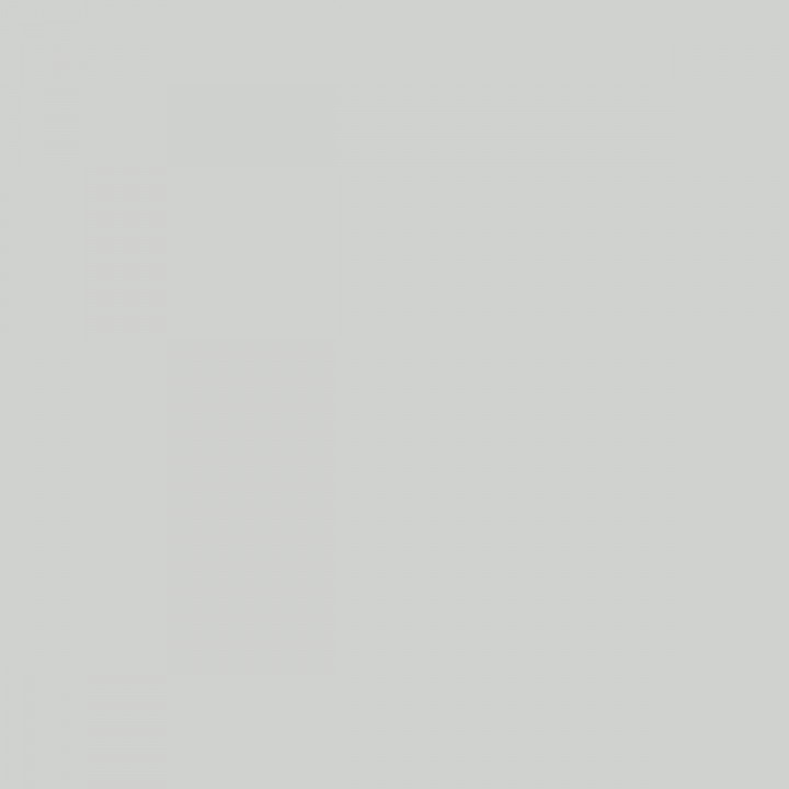 Primer Paint Ripolin Grey Satin finish 2,5 L