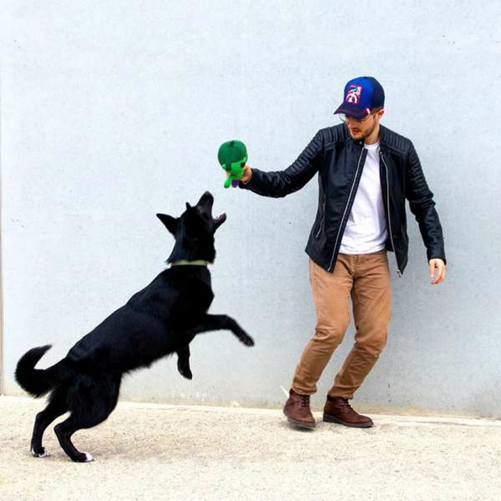 Juguete para perros The Avengers