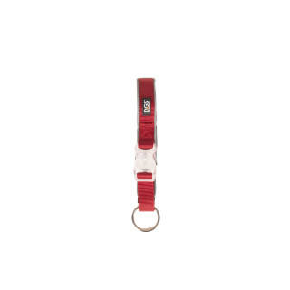 Collier pour Chien Dog Gone Smart Rouge L Lumière
